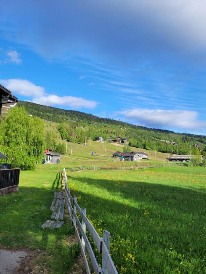 Friends & Family Apartment At Hafjell Alpinlandsby/Oyer Center Exterior photo